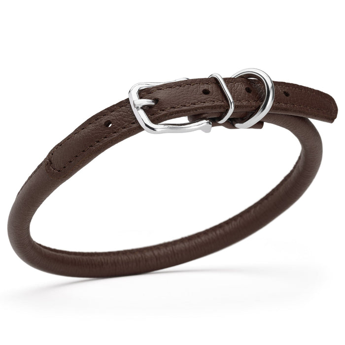 Dark brown leather dog collar with metal hardware, 3/8 inches wide