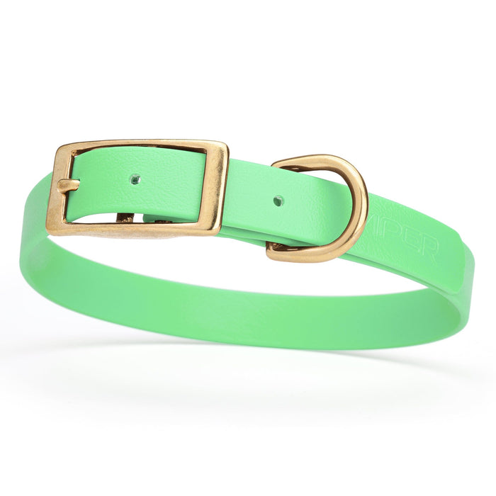 Waterproof Seafoam Green dog collar with brass buckle, made from Biothane, Medium size