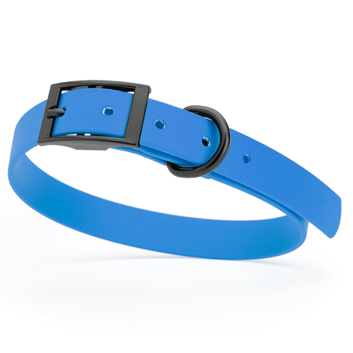 Cerulean blue dog collar with black hardware, made from waterproof biothane, 15 to 18 inches long