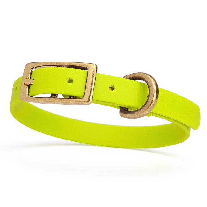 Safety Yellow Biothane dog collar with brass buckle and D-ring, x-small size