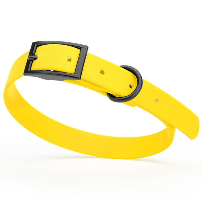 Lemon Yellow dog collar with black hardware, made from waterproof biothane, 12 to 15 inches long