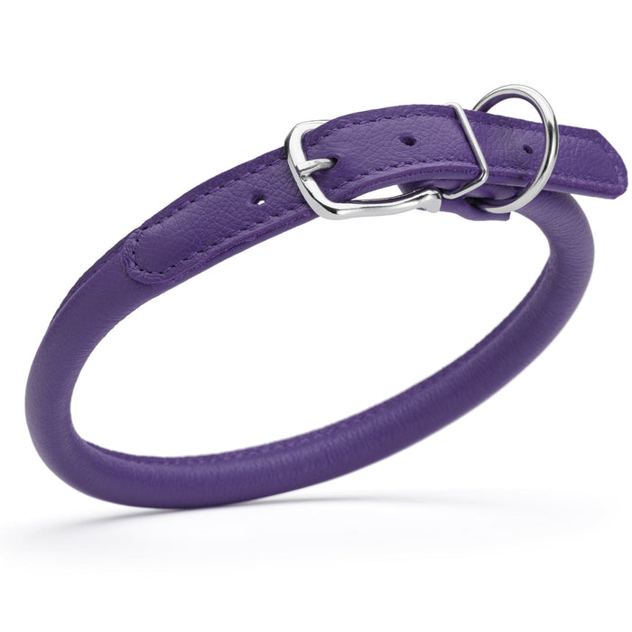 Purple leather dog collar with metal hardware, 1/2 inches wide