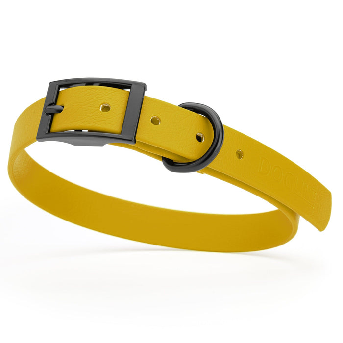 Treasure Gold dog collar with black hardware, made from waterproof biothane, 15 to 18 inches long