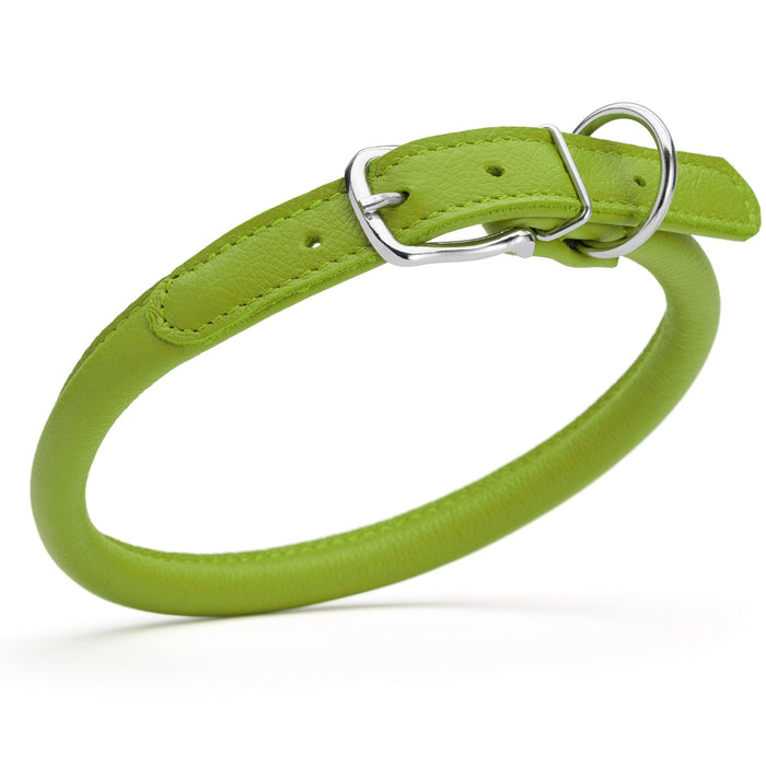 Lime green leather dog collar with metal hardware, 1/2 inches wide