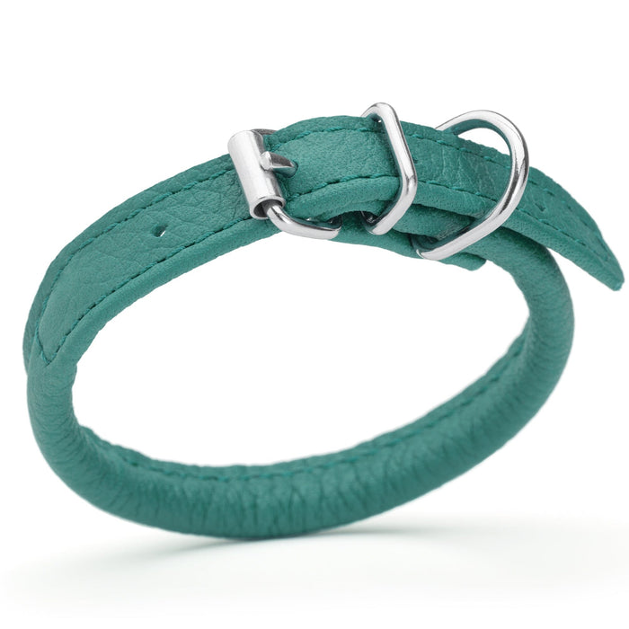 Teal leather dog collar with metal hardware, 1/4 inches wide