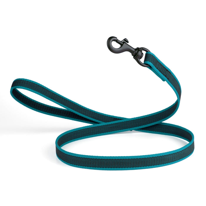 Teal dog leash with black snap hook, made from non-slip rubberized nylon, 4 ft long