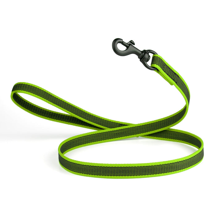 Green dog leash with black snap hook, made from non-slip rubberized nylon, 4 ft long