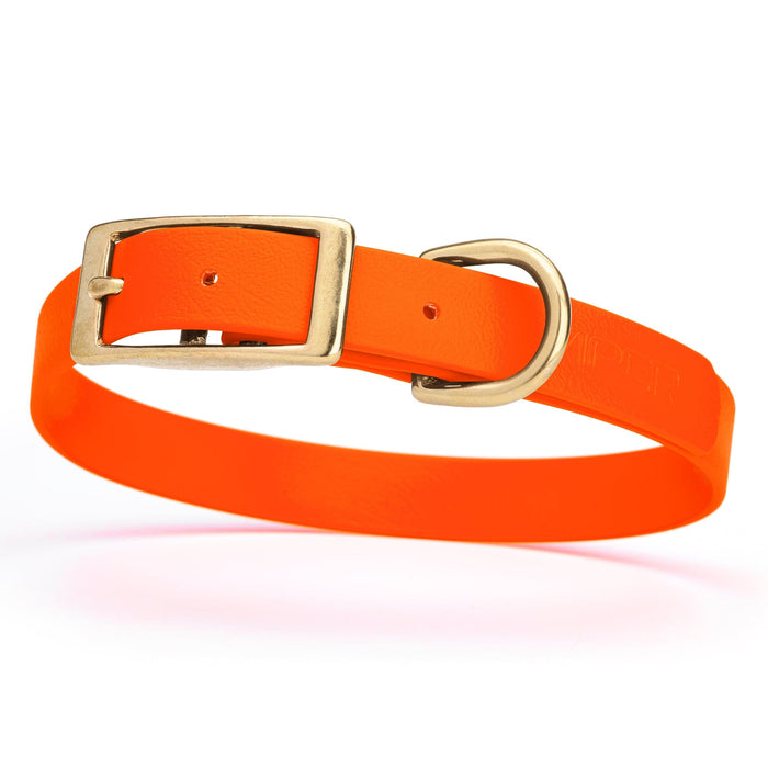 Waterproof Hunter Orange dog collar with brass buckle, made from Biothane, Medium size