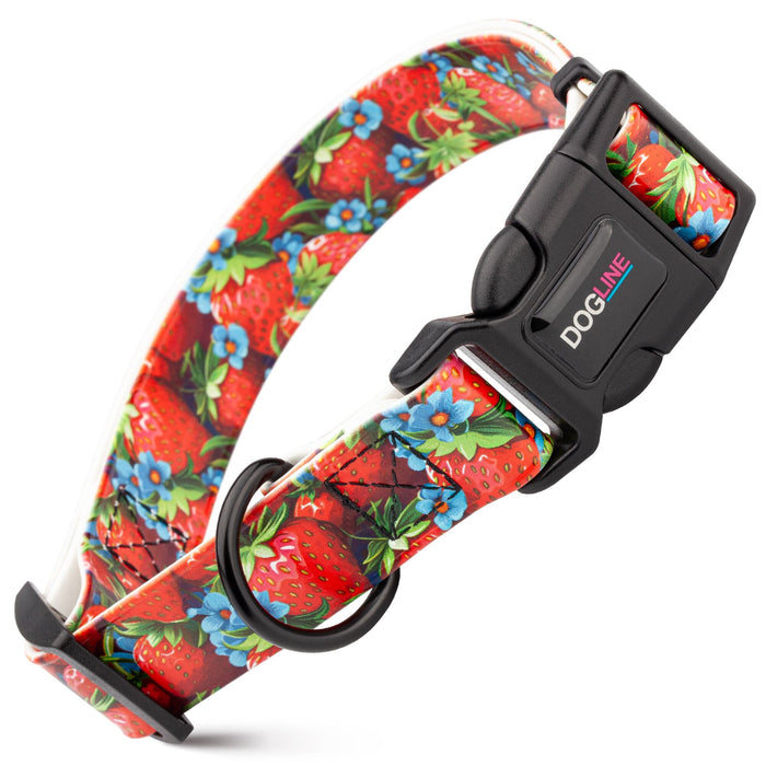 Biothane dog collar with plastic quick release buckle and metal D-ring, Strawberries print
