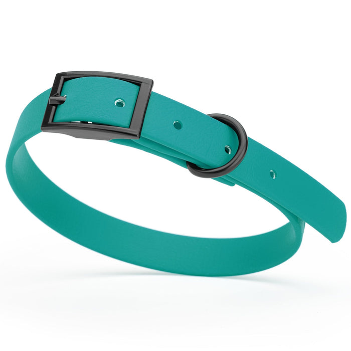 Aqua blue dog collar with black hardware, made from waterproof biothane, 12 to 15 inches long