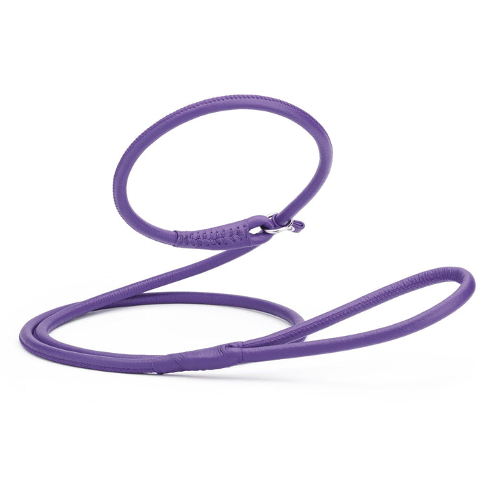 Rolled leather dog slip lead, purple