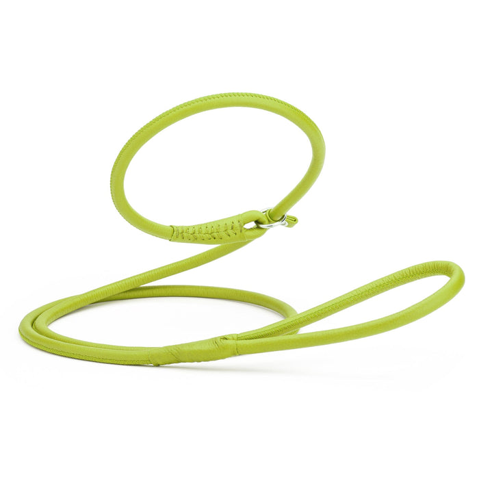 Rolled leather dog slip lead, lime green