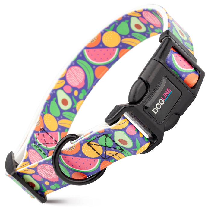 Biothane dog collar with plastic quick release buckle and metal D-ring, Fruits print
