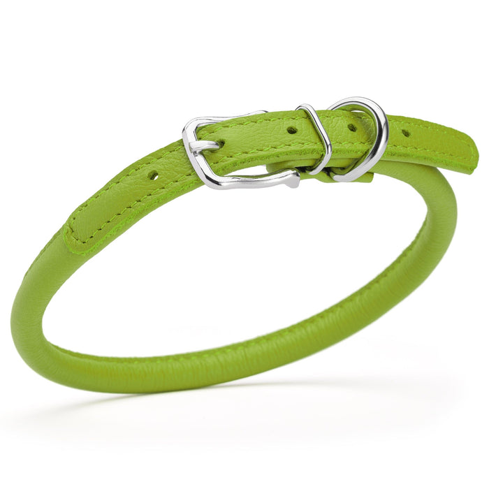 Lime green leather dog collar with metal hardware, 3/8 inches wide