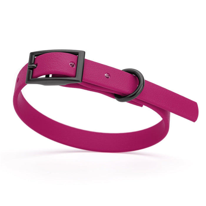 Magenta Pink dog collar with black hardware, made from waterproof biothane, 9 to 12 inches long
