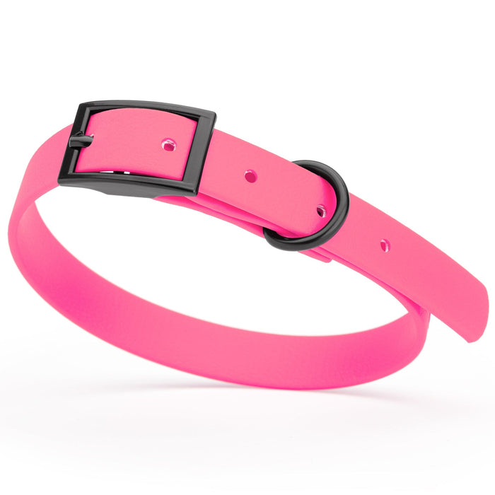 Passionfruit Pink dog collar with black hardware, made from waterproof biothane, 12 to 15 inches long