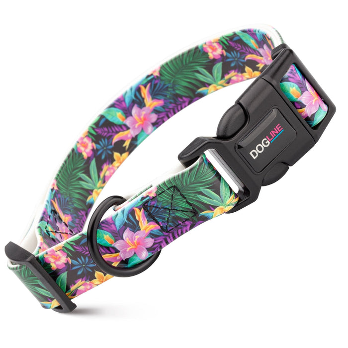 Biothane dog collar with plastic quick release buckle and metal D-ring, 
Wonderland Flowers print