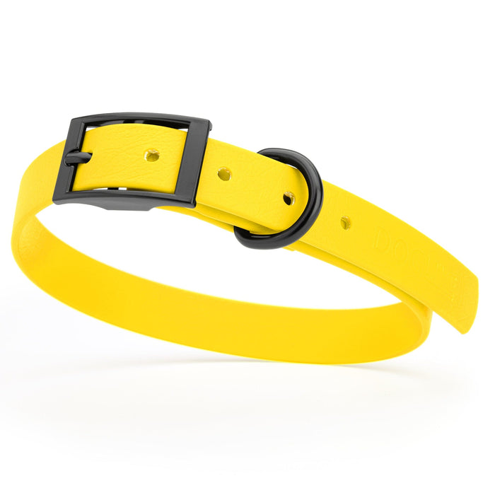 Lemon Yellow dog collar with black hardware, made from waterproof biothane, 15 to 18 inches long