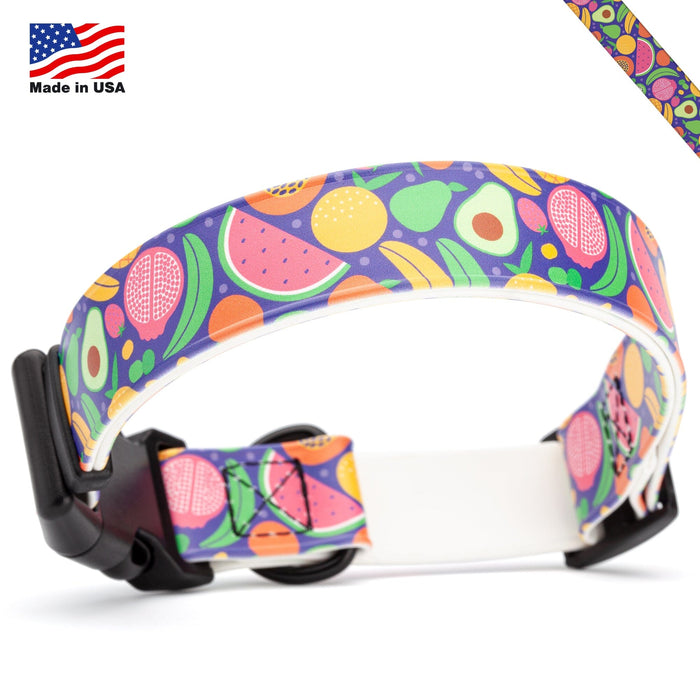 Dogline 1" Biothane Full Color Design Printed Dog Collar with Quick Release Buckle