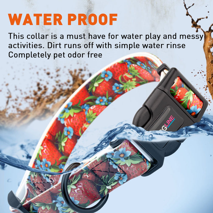 Dogline 1" Biothane Full Color Design Printed Dog Collar with Quick Release Buckle