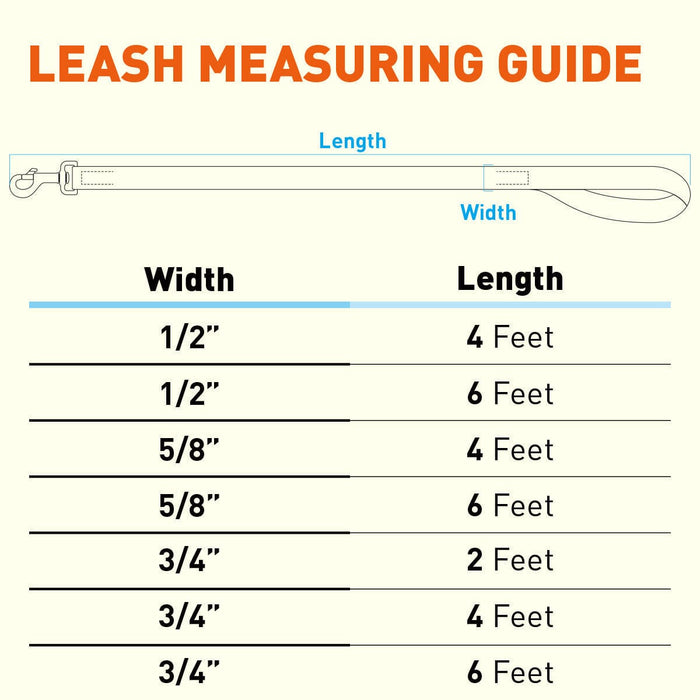 Biothane Waterproof Dog Leash 6 ft