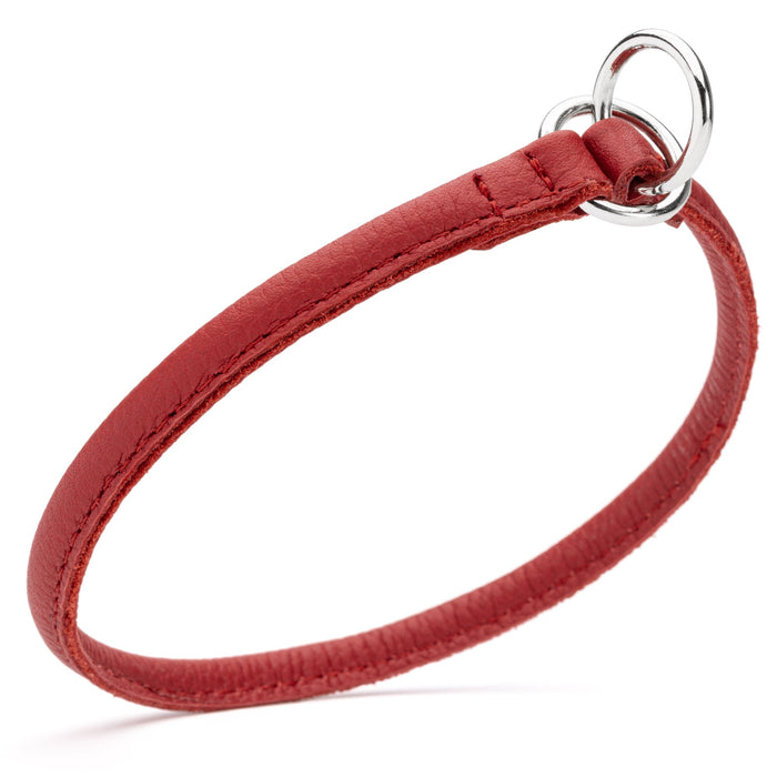 Red leather slip dog collar with two metal O-rings, 1/4 inch width