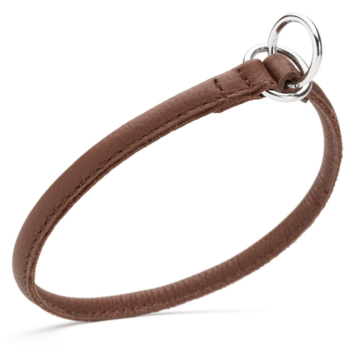 Brown leather slip dog collar with two metal O-rings, 1/4 inch width