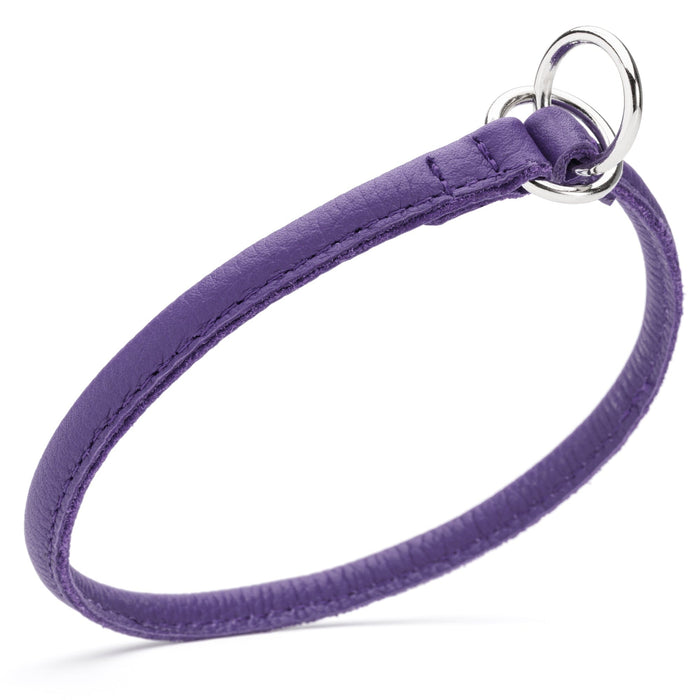 Purple leather slip dog collar with two metal O-rings, 1/4 inch width