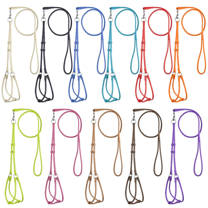Leather harness and leash sets for dogs, metal hardware, 11 colors availabe