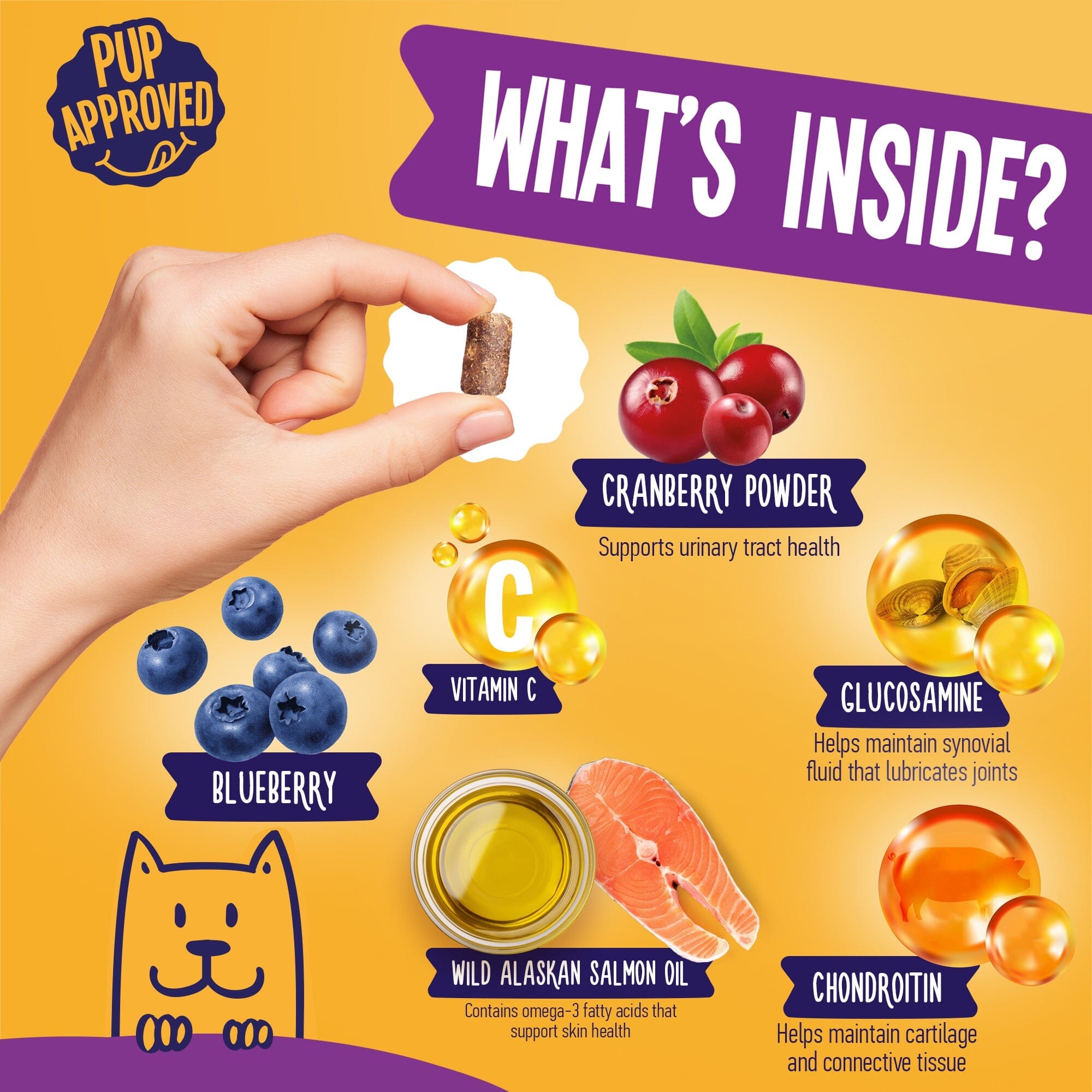 Multivitamin Chews For Dogs 9oz Jar (120 Count)