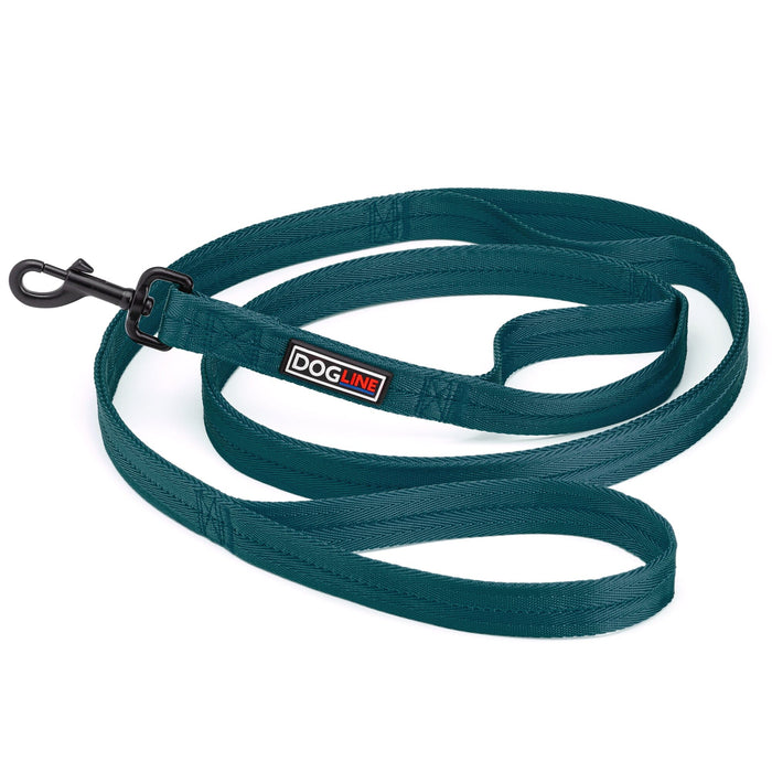Teal multi-handle dog leash, made from nylon, with black swivel clip