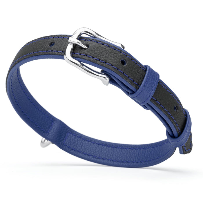 Black and blue leather collar with metal hardware, 3/4 inch width