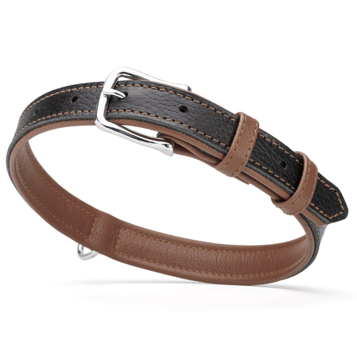 Black and brown leather dog collar with metal buckle and D-ring, 1 inch width