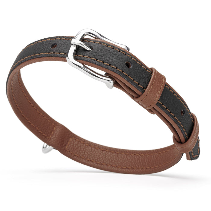 Black and brown leather collar with metal hardware, 3/4 inch width