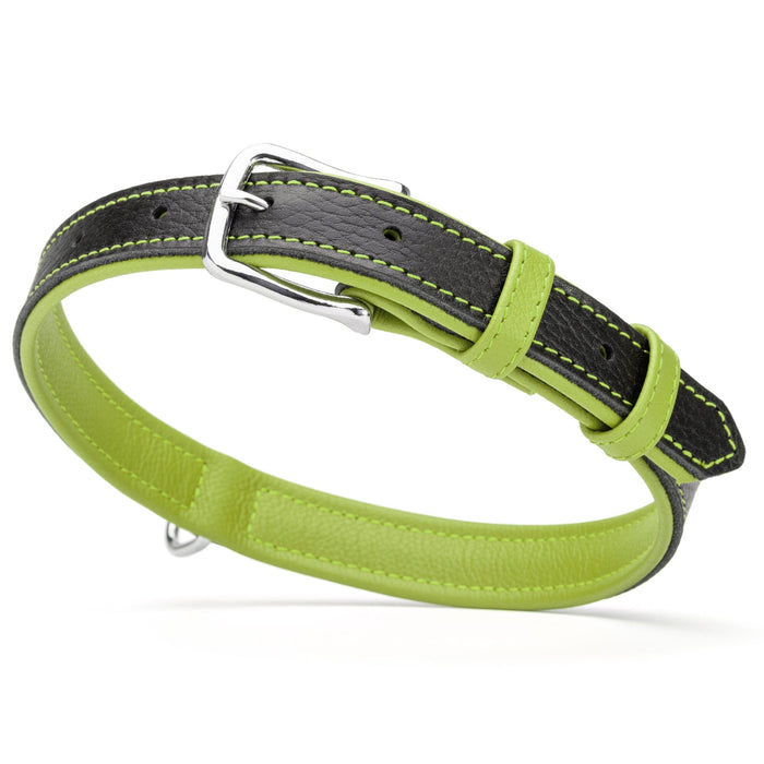 Black and green leather dog collar with metal buckle and D-ring, 1 inch width
