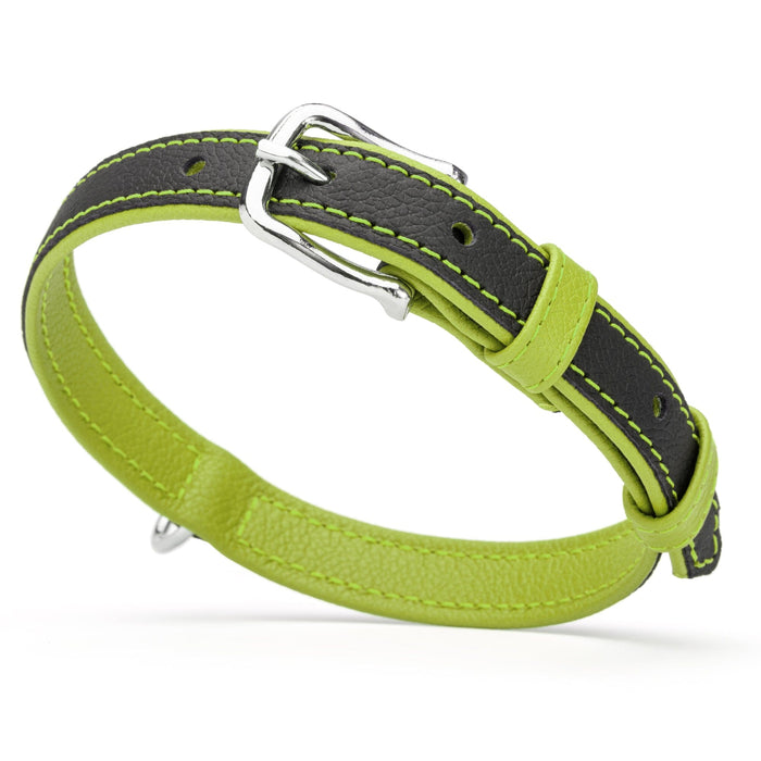 Black and green leather collar with metal hardware, 3/4 inch width