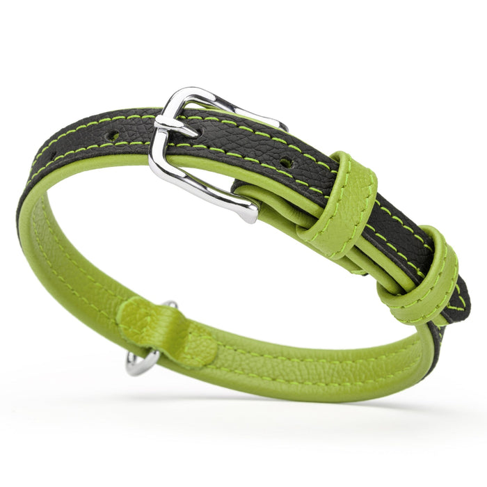 Black and green leather dog collar with metal buckle, 5/8 inch width