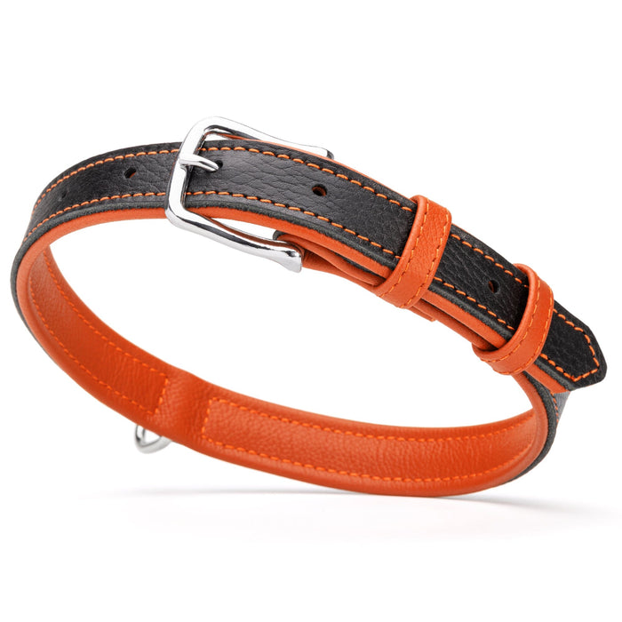Black and orange leather dog collar with metal buckle and D-ring, 1 inch width