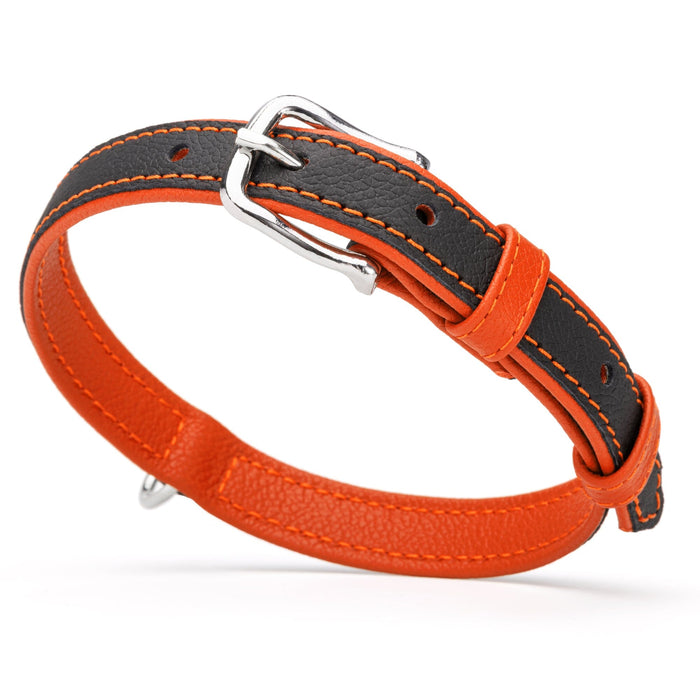 Black and orange leather collar with metal hardware, 3/4 inch width