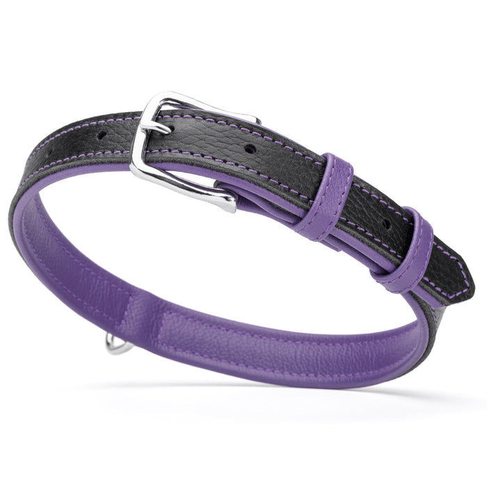 Black and purple leather dog collar with metal buckle and D-ring, 1 inch width