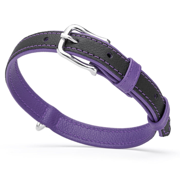 Black and purple leather collar with metal hardware, 3/4 inch width
