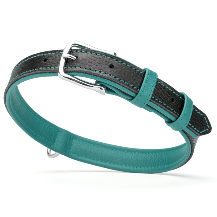 Black and teal leather dog collar with metal buckle and D-ring, 1 inch width