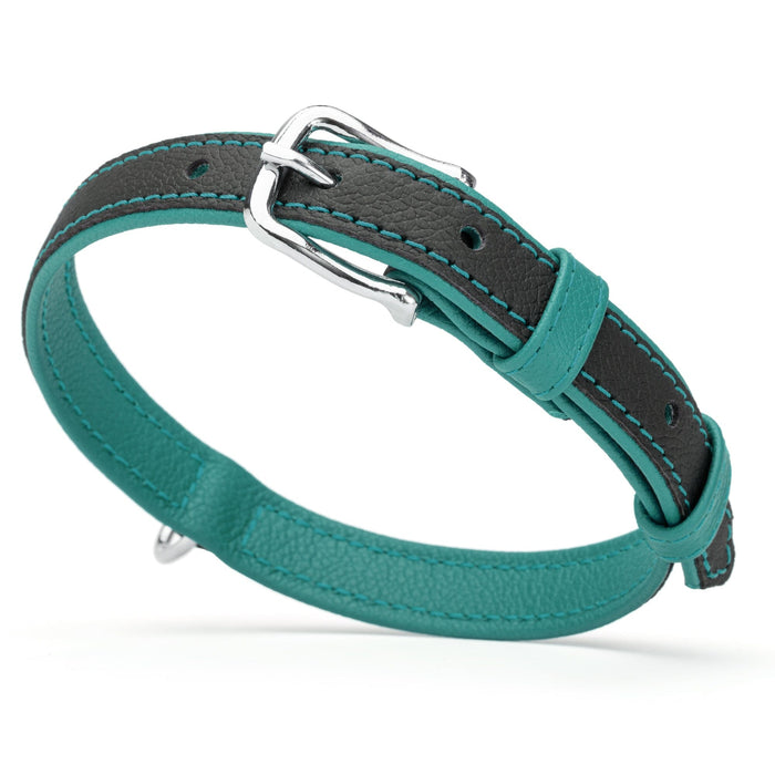 Black and teal leather collar with metal hardware, 3/4 inch width