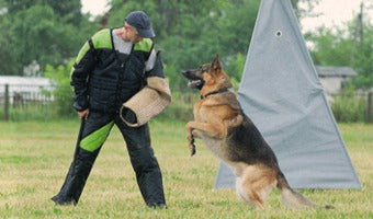 Training Gear