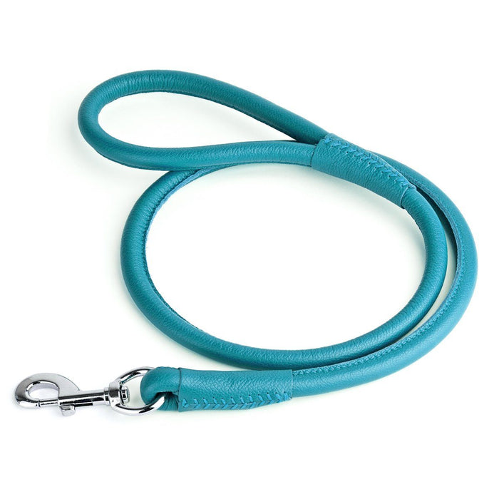 Teal leather dog leash with metal swivel clip, rolled design, 1/2 inches wide