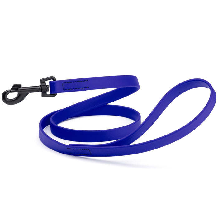 Blueberry dog leash with black swivel clip, made from waterproof Biothane, 6 feet long, 3/4 or 5/8 inches wide