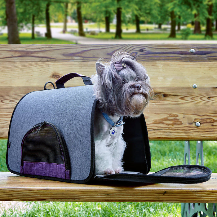 Dual Color Collapsible Pet Carrier