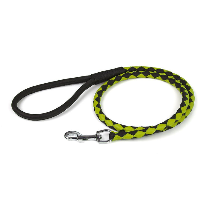 Black and green leather dog leash with metal swivel clip, braided