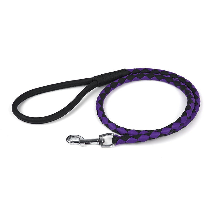 Black and purple leather dog leash with metal swivel clip, braided