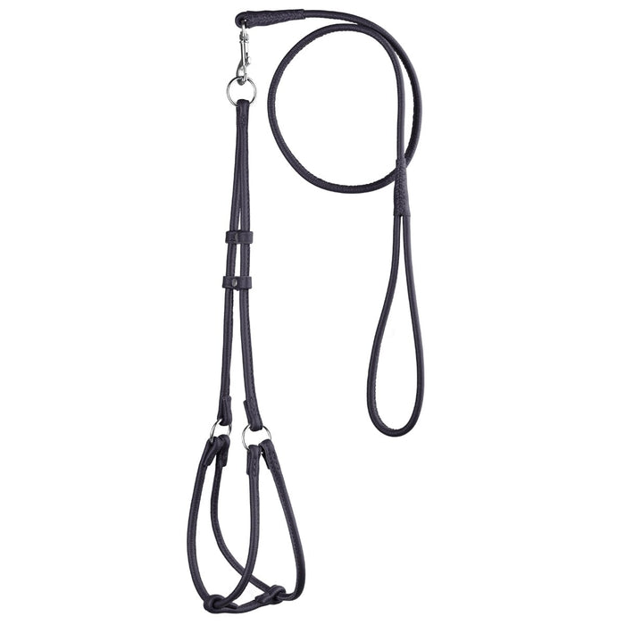 Black leather dog harness and dog leash set with metal hardware
